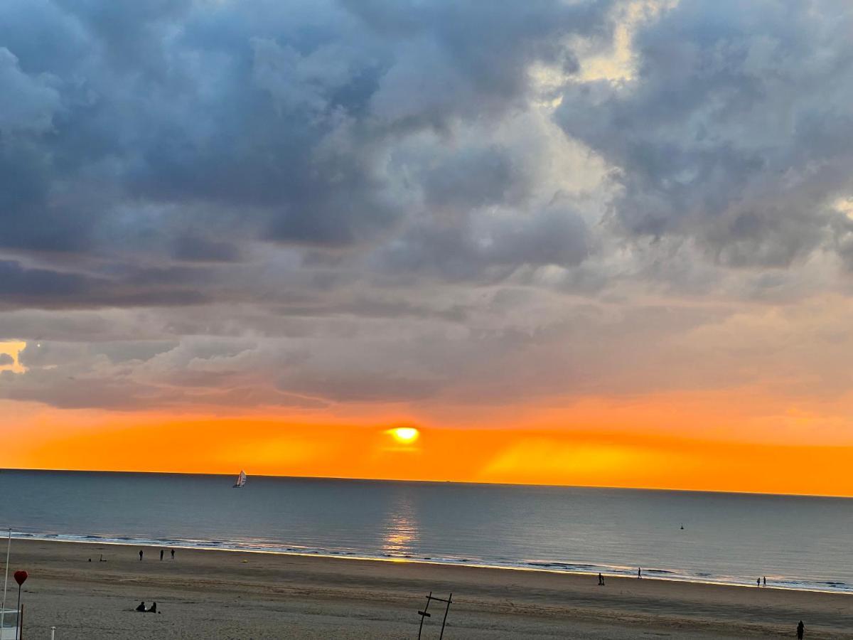 Cosy Studio Testerep , Newly Renovated Oostende Exteriör bild